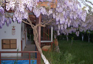 Beyhan Han�m Villas�