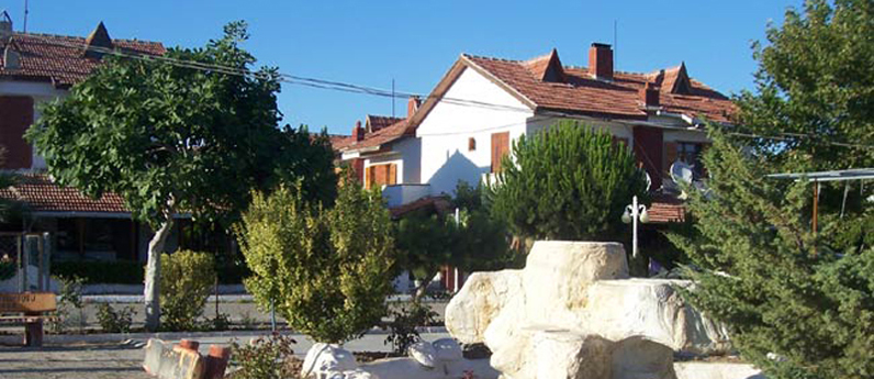 Site Merkezi